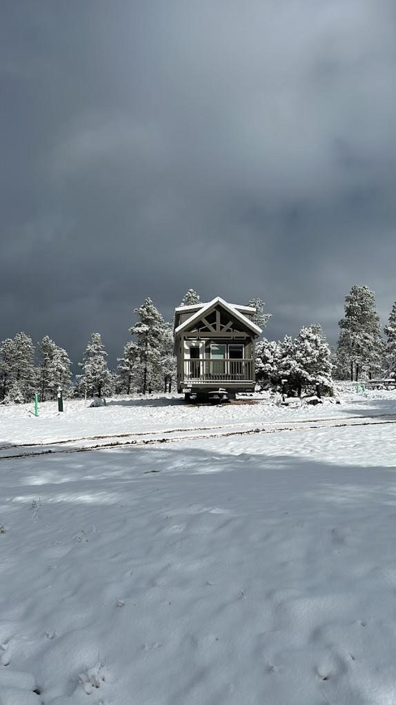 Cozy Cabin With Mountain View 6A Вильямс Экстерьер фото